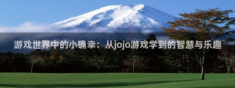 南宫28ng娱乐官网网址：游戏世界中的小确幸：从jojo游戏