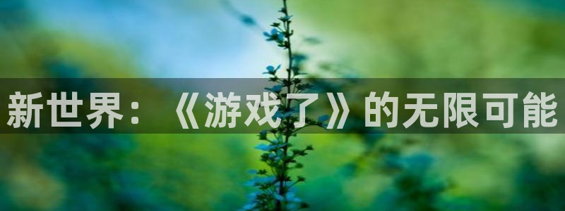 ng南宫国际娱乐：新世界：《游戏了》的无限可能