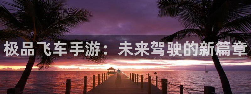 南宫注册入口官网注册：极品飞车手游：未来驾驶的新篇章