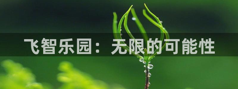 南宫娱乐平台网页版：飞智乐园：无限的可能性