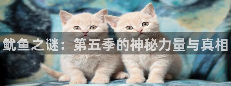 南宫ng28娱乐官网入口：鱿鱼之谜：第五季的神秘力量与真相