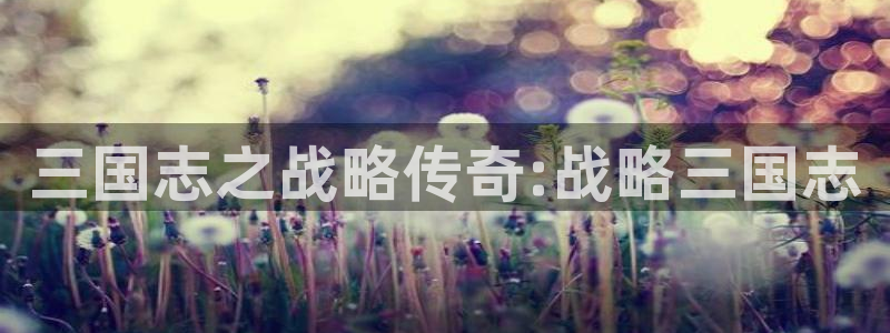 南宫国际娱乐相信品牌的力量：三国志之战略传奇:战略三国志