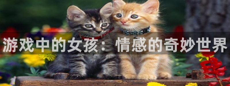 南宫娱乐是什么软件：游戏中的女孩：情感的奇妙世界