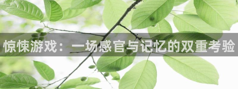 南宫官方网站入口